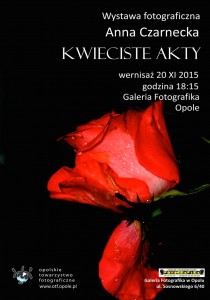 plakat Ania Czarnecka